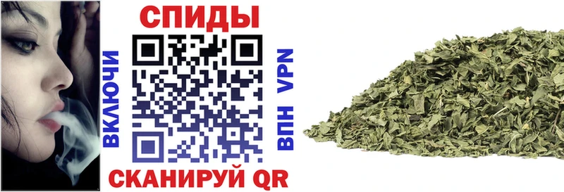площадка телеграм  Кирсанов  БУТИРАТ буратино 